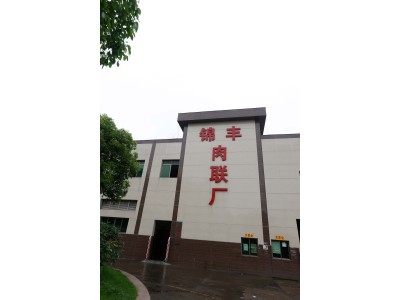 佛山市南海區(qū)大瀝錦豐肉聯(lián)食品有限公司—廢水工程運(yùn)營(yíng)