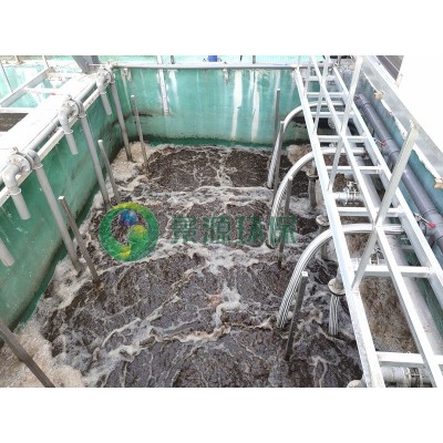 禪城區(qū)生豬定點(diǎn)屠宰及冷鏈配送一體化項(xiàng)目污水處理工程' />