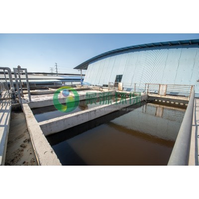 佛山市南海區(qū)大瀝錦豐肉聯(lián)廠食品有限公司——新建家畜屠宰廢水治理' />